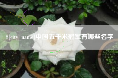 鹤壁中国五千米冠军有哪些名字