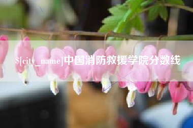 鹤壁中国消防救援学院分数线