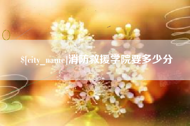 鹤壁消防救援学院要多少分