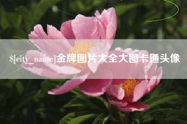 鹤壁金牌图片大全大图卡通头像