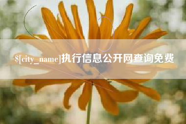 鹤壁执行信息公开网查询免费