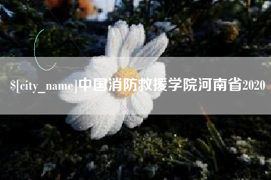 鹤壁中国消防救援学院河南省2020