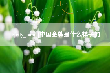 鹤壁中国金牌是什么样子的