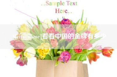 鹤壁看看中国的金牌有多少